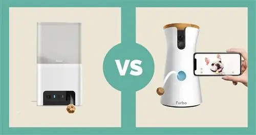 Petcube Bites 2 Lite vs Furbo Pet Camera