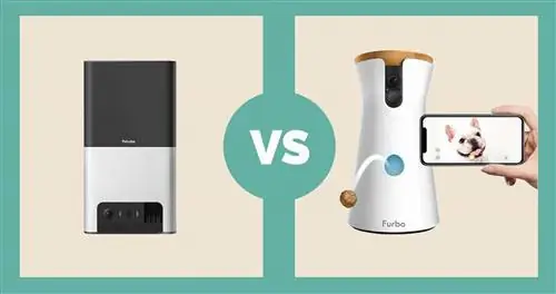 Petcube Bites 2 WiFi w Alexa vs Furbo Pet კამერა