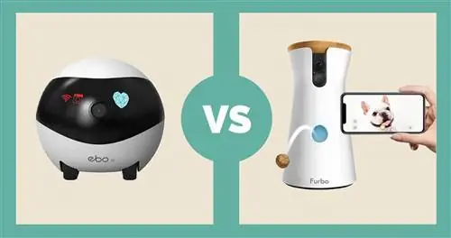 Enabot Smart Camera vs Furbo Pet Camera