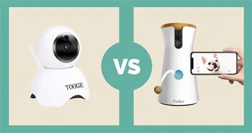 Tooge Pet Camera vs Furbo Pet Camera