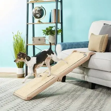 Pet Gear қысқа екі қабатты иттерге арналған көлік пандусы