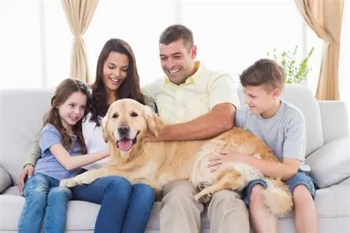 Família feliç acariciant Golden Retriever