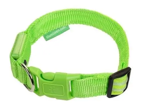 Illumiseen LED-USB-wiederaufladbares Nylon-Hundehalsband_Von Illumiseen