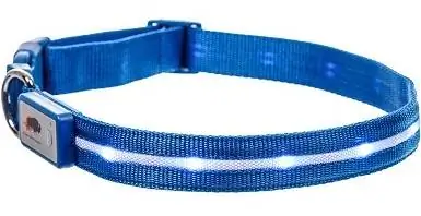 Blazin's Safety LED Dog Collar - ዩኤስቢ በሚሞላ ውሃ መቋቋም የሚችል ብልጭ ድርግም የሚል ብርሃን