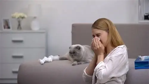 mujer estornudando junto a un gato