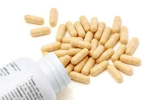 Digestive Enzymes Capsules