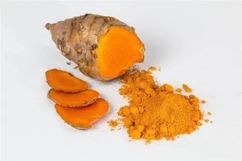 Turmeric pe fundal alb