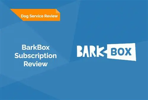 BarkBox Dog բաժանորդագրության ակնարկ 2023. Արդյո՞ք դա լավ արժեք է: