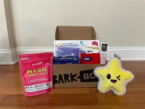 mga nilalaman ng kahon ng subscription sa barkbox