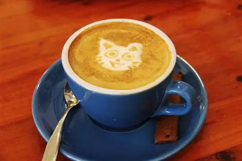 miv latte art