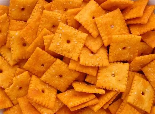 Cheez-It Kısa Hikayesi