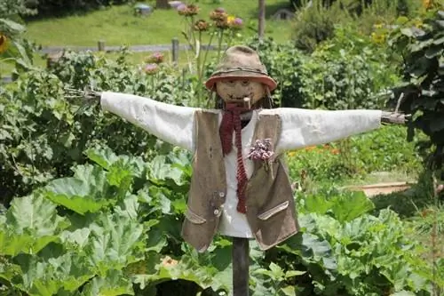 scarecrow