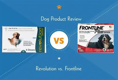 Revoluce vs. Frontline: Která léčba klíšťaty proti blechám & je lepší?