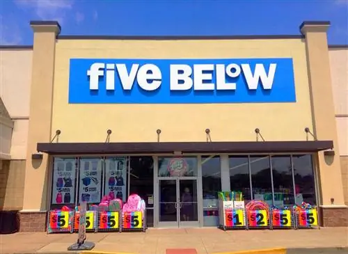 Five Below autorise-t-il les chiens en 2023 ? Mise à jour de la politique relative aux animaux de compagnie & FAQ