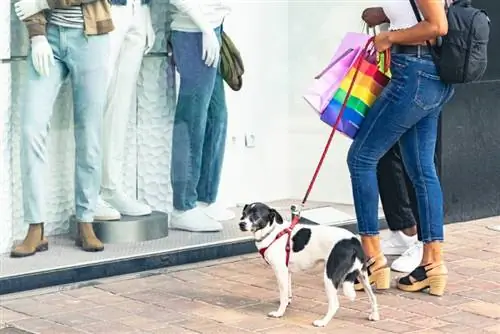 mujer comprando con su perro en el centro comercial