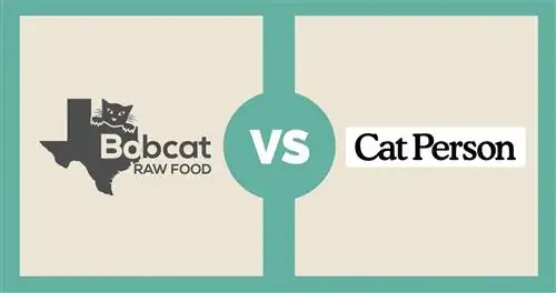 Bobcat Raw Food vs Cat Person