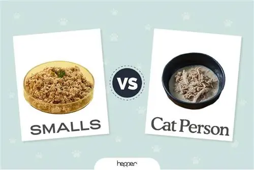 Smalls vs Cat Person: Welk vers kattenvoer is geschikt voor jouw kat? (2023)