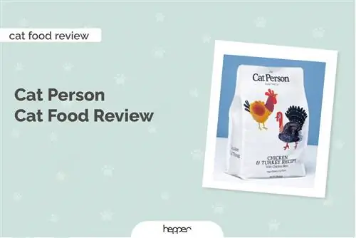 Cat Person Cat Food Review 2023: ข้อดีข้อเสีย & การเรียกคืน