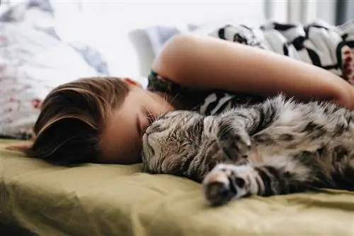 Gatto che dorme vicino alla testa della donna