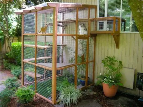 DIY drveno vanjsko kućište za mačke - Catio prostori