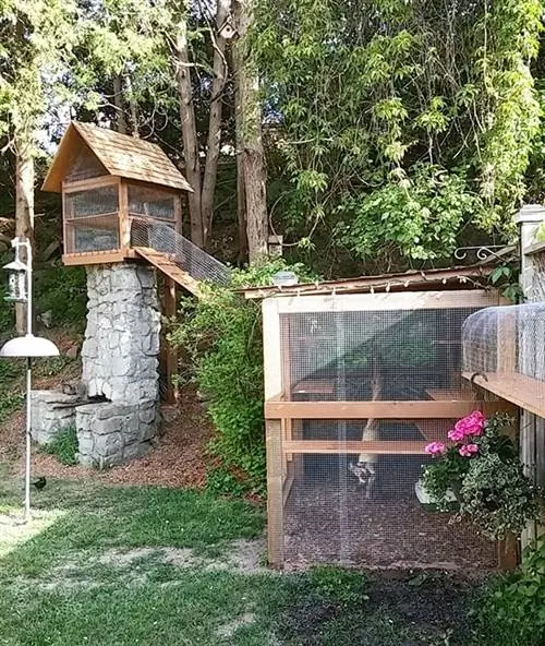 DIY Outdoor Cat Jungle Gym- Cuckoo 4 design