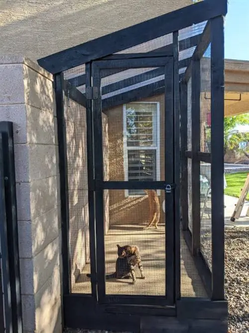 DIY Outdoor Adventure Cat Enclosure- Adventure ratheart