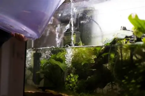 ወደ aquarium ውሃ መጨመር