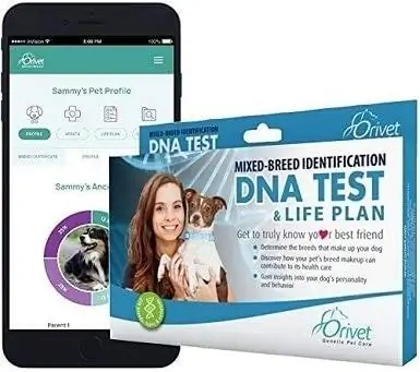 Oriveti koera DNA test