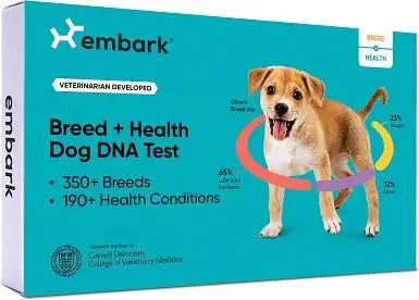 Embark Detection Dog DNA testi komplekt