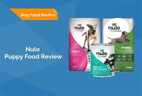 Nulo Puppy Food Review 2023: Muistutukset, plussat & Miinukset