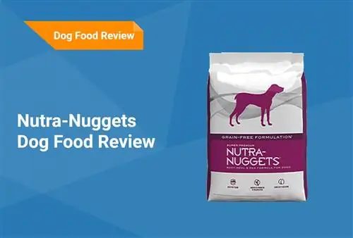 Nutra-Nuggets Hundefutter Testbericht 2023: Rückrufe, Vorteile & Nachteile