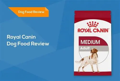 Преглед на храните за кучета на Royal Canin 2023 г.: изтегляния, плюсове & минуси