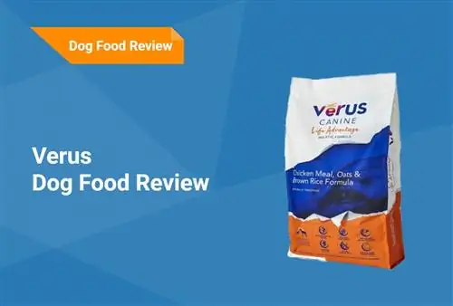 Verus Dog Food Review 2023. Հիշում է, կողմ & Դեմ