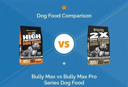 อาหารสุนัข Bully Max vs Bully Max Pro Series: การเปรียบเทียบปี 2023