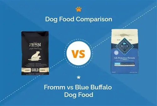 Fromm εναντίον Blue Buffalo Dog Food: Η εις βάθος σύγκριση μας για το 2023