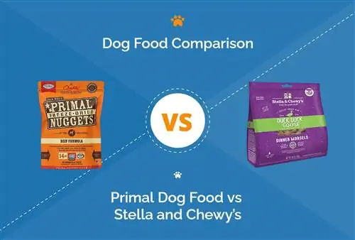 Primal Dog Food vs Stella and Chewy's: 2023-as összehasonlítás