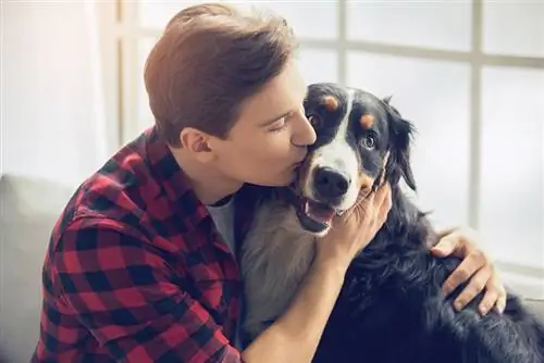 proprietário masculino abraçando seu cachorro