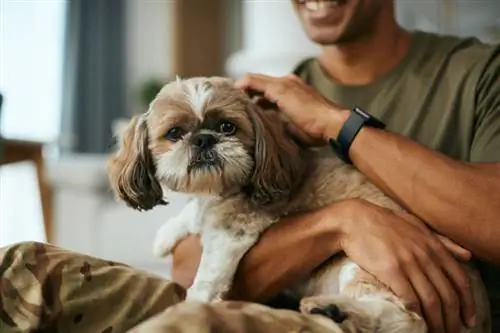 close-up de soldado abraçando seu cachorro enquanto relaxa em casa