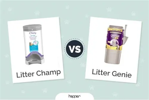 Litter Champ proti Litter Genie: kateri je boljši za mojo mačko?