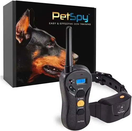 PetSpy P620 ძაღლების მომზადების საყელო