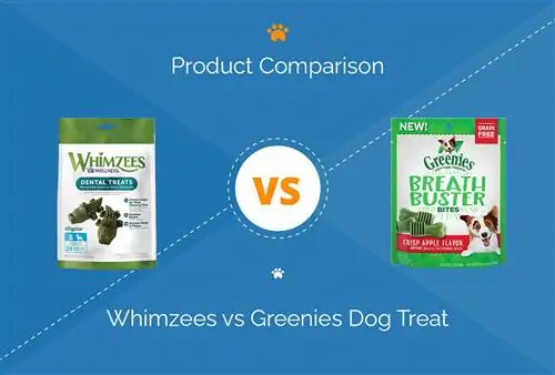 Whimzees vs Greenies Dog Treat: 2023 Karşılaştırması