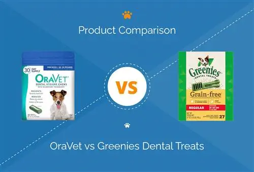 OraVet ve Greenies Dental Treats: 2023 Karşılaştırması