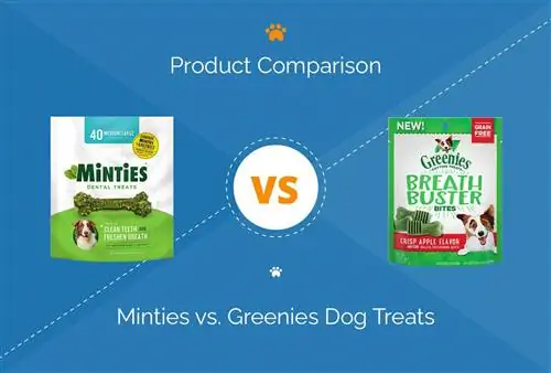 Minties vs. Greenies Dog Treats: การเปรียบเทียบของเราในปี 2023