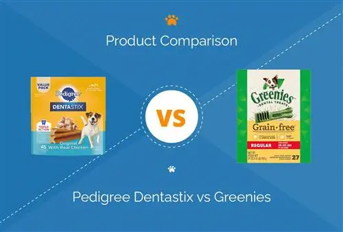 Dentastix срещу Greenies: Кое е по-добро? (Сравнение за 2023 г.)