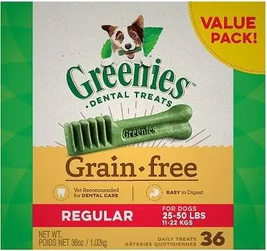 Greenies Diş Köpek Çiğniyor