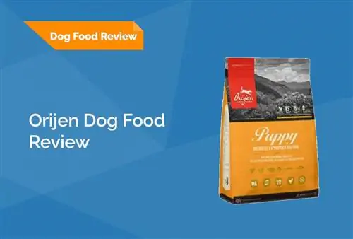 Orijen Dog Food Review 2023: Återkallelser, fördelar & Nackdelar