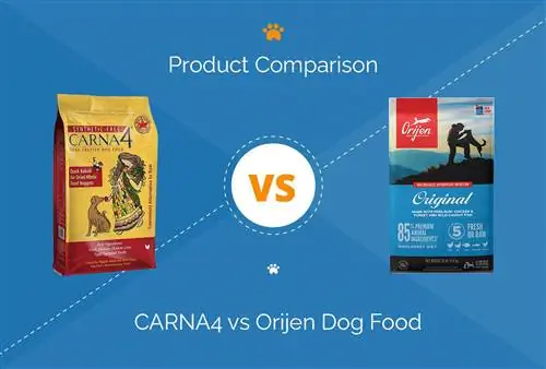 CARNA4 vs Orijen šunų maistas: mūsų 2023 m. išsamus palyginimas