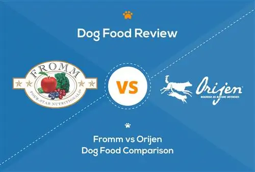 Fromm vs Orijen Dog Food: 2023 შედარება