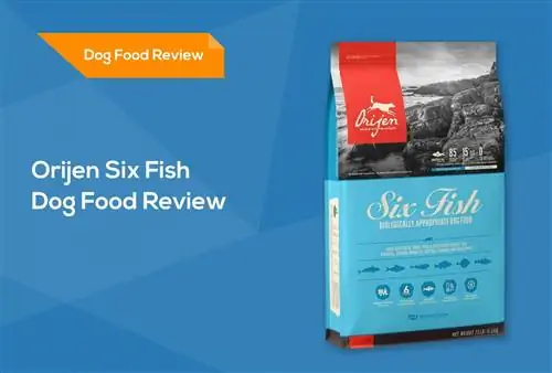 Orijen Six Fish Grain-Free Dog Food Review 2023: prós, contras, veredicto, & Perguntas frequentes