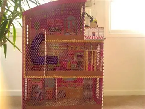 Comment construire une cage pour hamster de cochon d'Inde MANSION